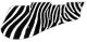 Zebra 2