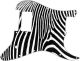 Zebra 2