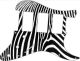 Zebra 2