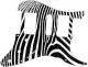 Zebra 2