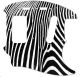 Zebra 2
