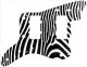 Zebra 2