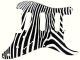 Zebra 2