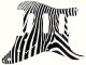 Zebra 2