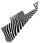 Zebra 2
