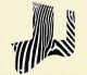 Zebra 2
