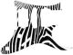 Zebra 2
