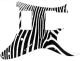 Zebra 2