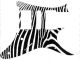 Zebra 2