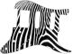 Zebra 2