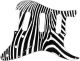 Zebra 2
