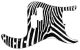 Zebra 2