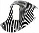 Zebra 2