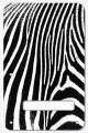 Zebra 2