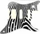 Zebra 2