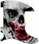 Zombie 4 - Avril Lavigne Tele