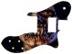 Zombie Look 1 - Vintera '70s Tele Custom