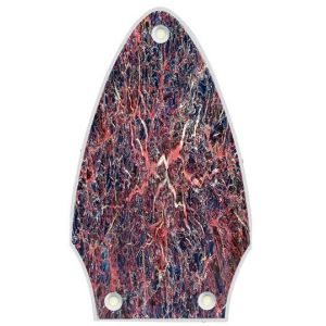 Abstract 11
