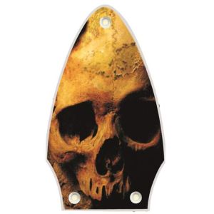 Ancient Skulls