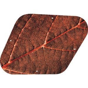 Autumn Leaf