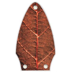 Autumn Leaf