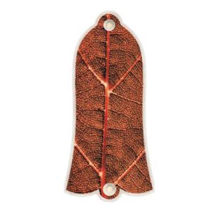 Autumn Leaf