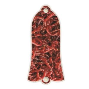 Bloodworms