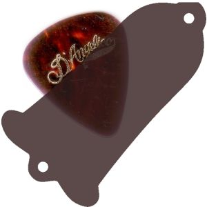 Bronze Transparent