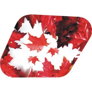 Canadian Patriot 1