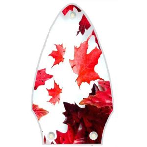 Canadian Patriot 1