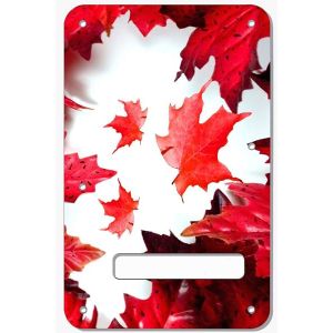 Canadian Patriot 1