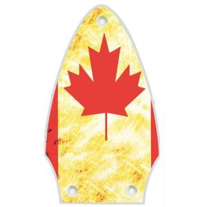 Canadian Patriot 2