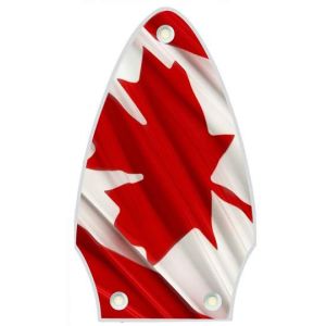 Canadian Patriot 3