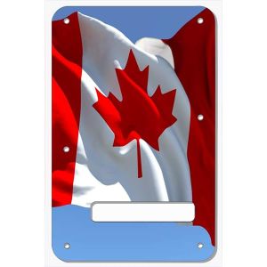 Canadian Patriot 4