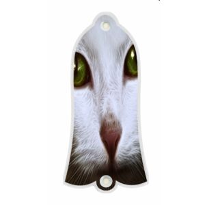 Cat 1