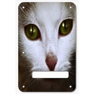 Cat 1