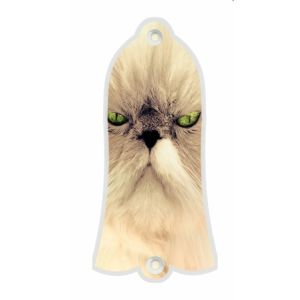 Cat 2