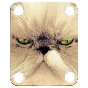 Cat 2