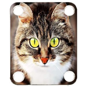 Cat 3