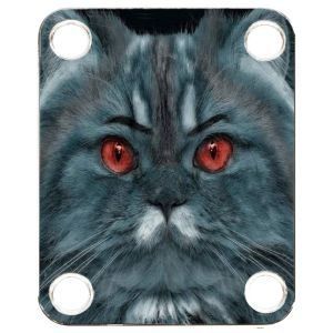 Cat 4