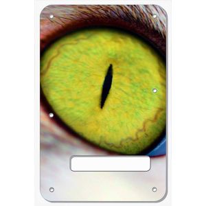 Cat Eye
