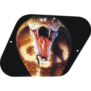 Cobra