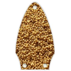 Corn