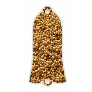Corn