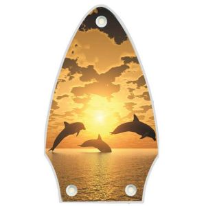 Dolphin Sunset