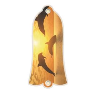 Dolphin Sunset