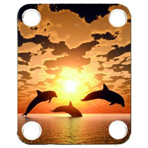 Dolphin Sunset