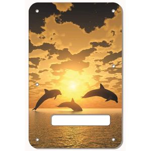 Dolphin Sunset
