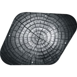 Dried Tree Rings