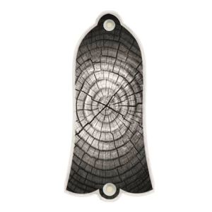 Dried Tree Rings